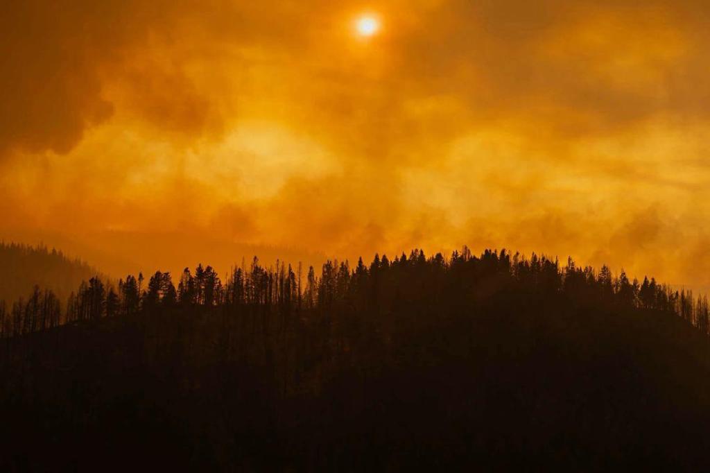 Surrey Sikh gurdwara seeking donations for B.C. wildfire victims