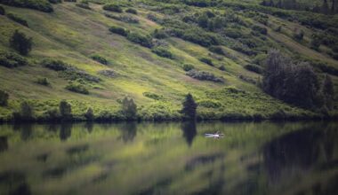 Wayne and Wanda: Am I building a life in Alaska, or cycling through seasonal flings and friends?