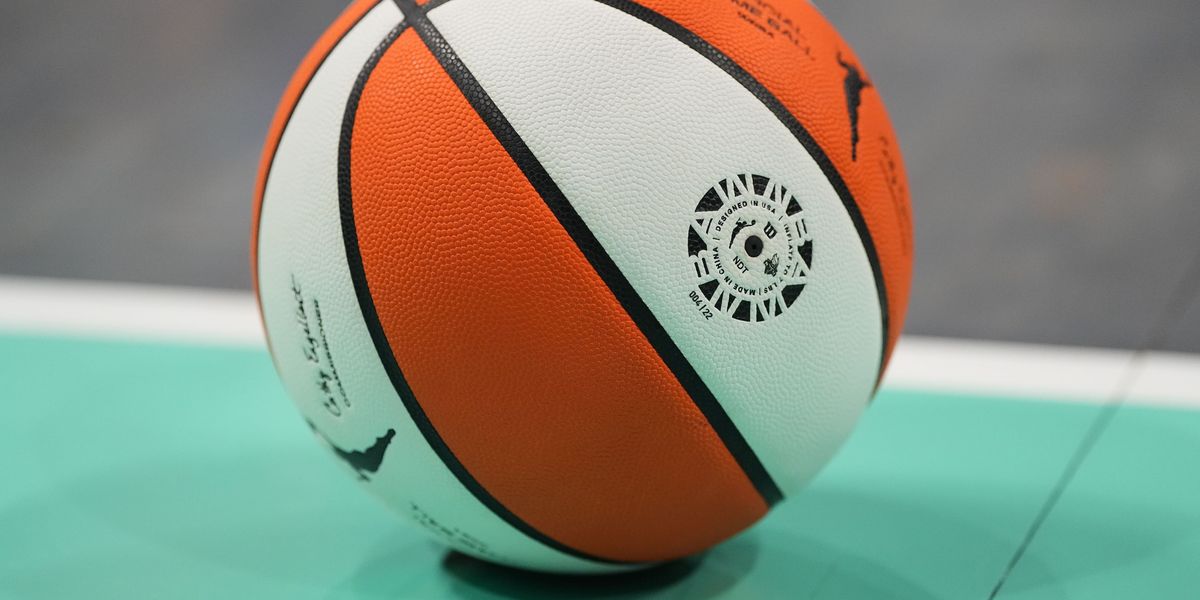 WNBA strongly denounces 'bad-faith efforts' by NBA has-beens claiming to be trans to join league