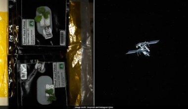 International Space Station Shares Details Of New Plants Sprouting In Space