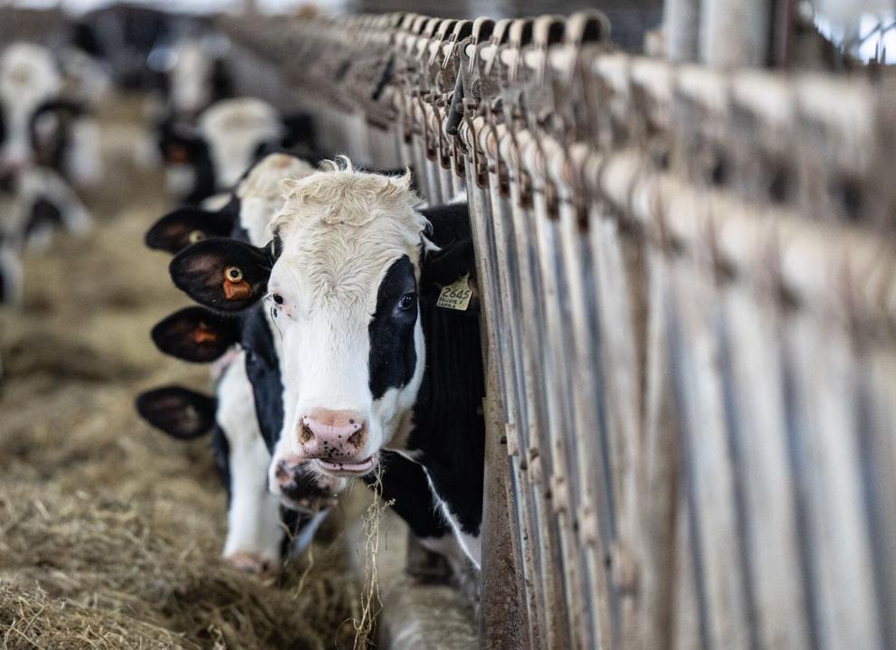PM says Ottawa is ‘loyal’ to supply management system protecting dairy sector