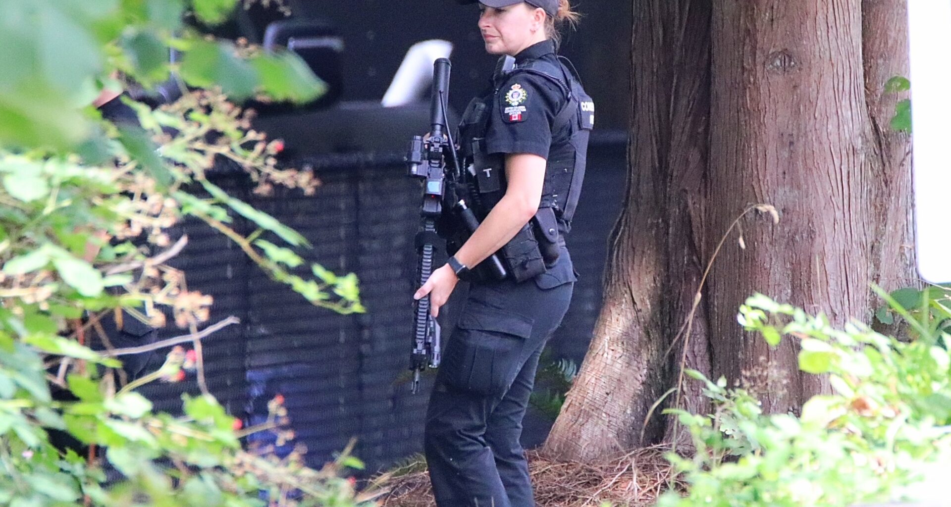 Aggressive bear reported in Maple Ridge, RCMP urge residents to stay indoors