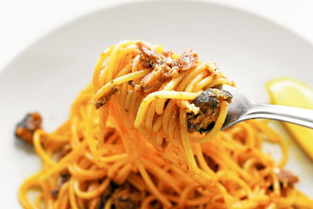 Sardines in pasta sauce