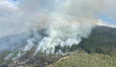 B.C. wildfires continue to flare up, with almost 30 added in past 24 hours