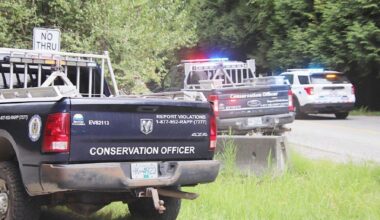 Search for bear continues in Lower Mainland attack