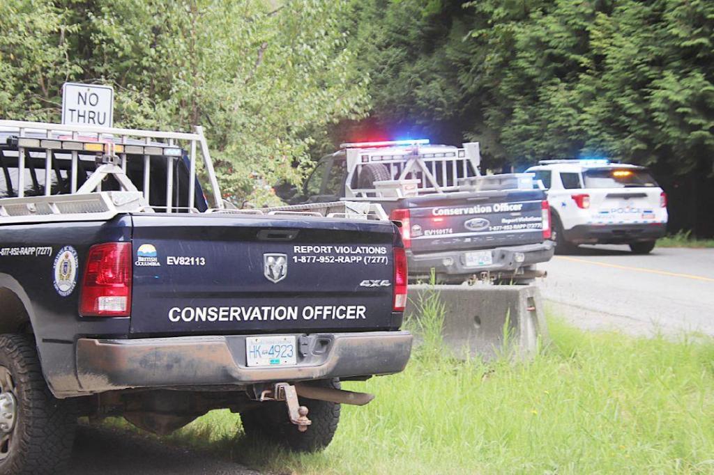 Search for bear continues in Lower Mainland attack