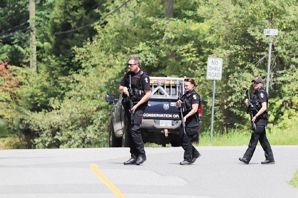 VIDEO: 3 year old mauled by bear in the Lower Mainland