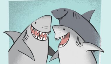 An illustration of three happy sharks on a turquoise background