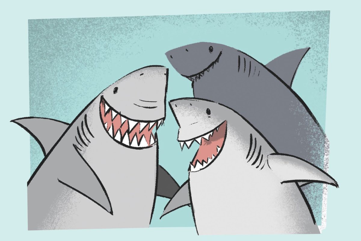 An illustration of three happy sharks on a turquoise background