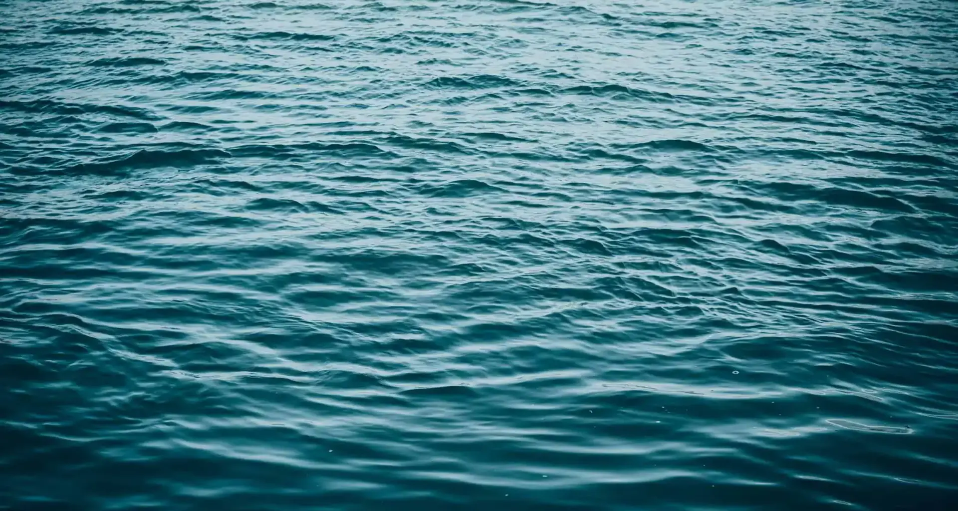 Mississauga man dies after canoe capsizes in Ontario lake