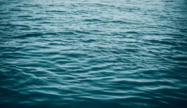 Mississauga man dies after canoe capsizes in Ontario lake