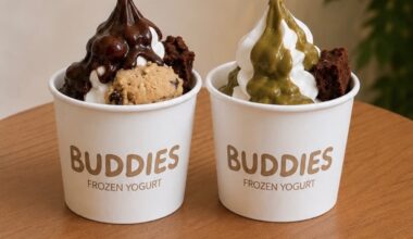 New Kosher FroYo Shop “Buddies” Now Open in Long Beach, NY • YeahThatsKosher