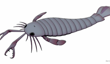 It was the size of a car and had claws bigger than your arm – and no other creature like it has ever been found