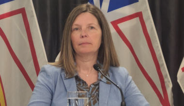 Energy NL says Local Companies Ready for Labrador Hydro Megaprojects