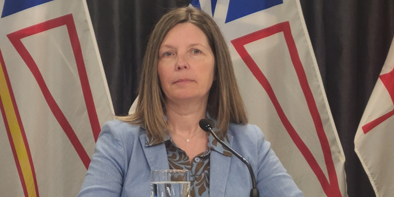 Energy NL says Local Companies Ready for Labrador Hydro Megaprojects