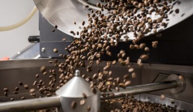 Salt Spring Island coffee roaster opening cafe in Vancouver