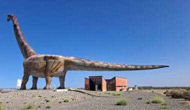 Trelew, Argentina, February 01, 2025: A replica of a Patagotitan mayorum dinosaur is located at the entrance to the city. This species, discovered in the region, is considered the largest in the world