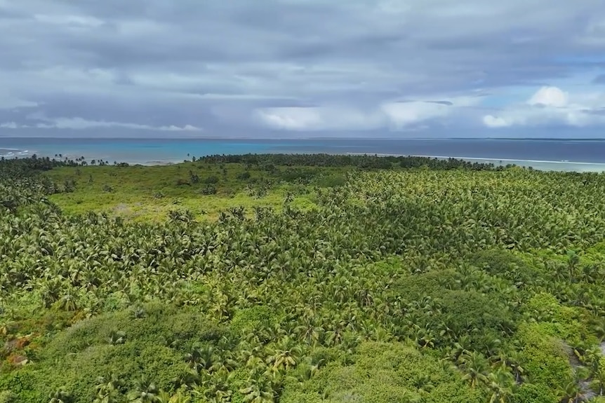 A drone shot of a tropical island