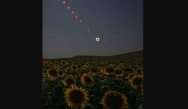 Credit: Bill Ingalls/NASA  Caption: A composite image showing the progression of a total solar eclipse over San Millan de los Caballeros, Spain on Aug. 12.