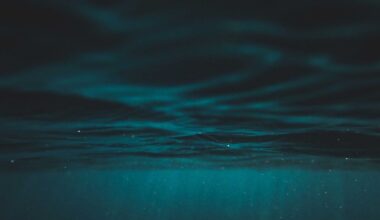 We have sharper maps of Mars than of most of Earth's deep ocean floor, and the little of it we have reached rewrote biology: in 1977 a submersible found thriving life around hot vents in total darkness, fed by chemistry rather than sunlight