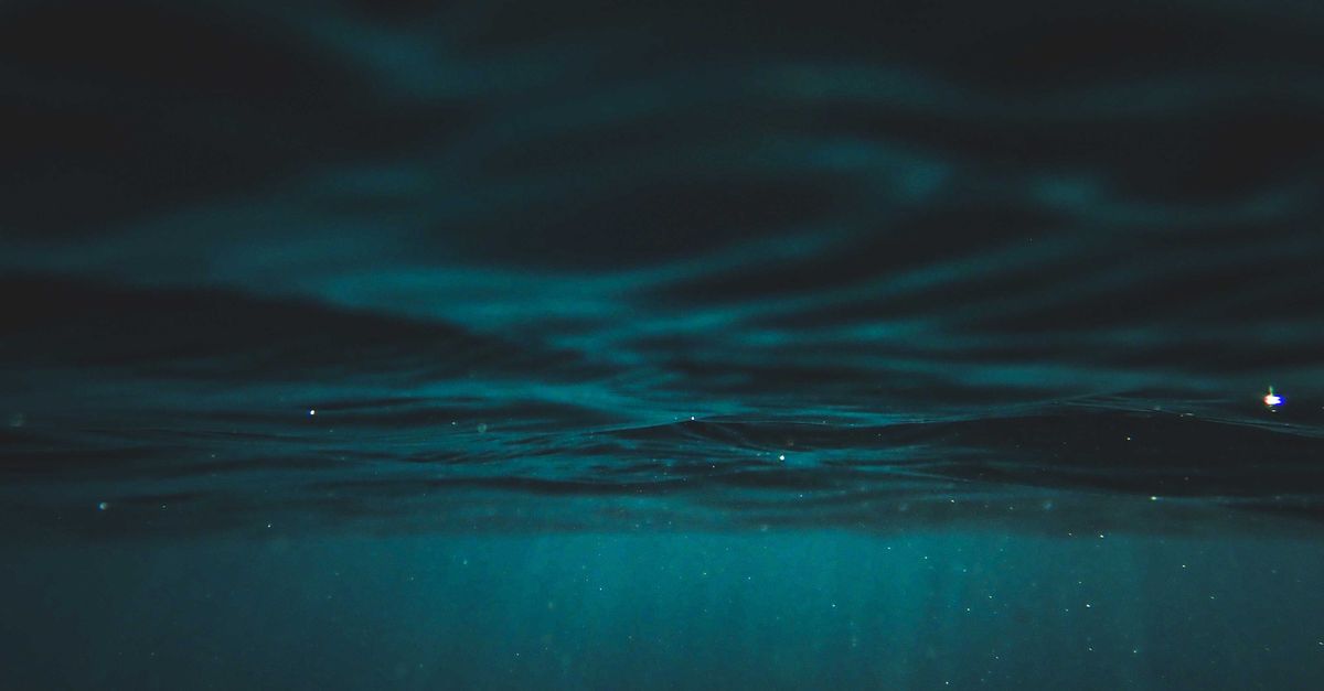 We have sharper maps of Mars than of most of Earth's deep ocean floor, and the little of it we have reached rewrote biology: in 1977 a submersible found thriving life around hot vents in total darkness, fed by chemistry rather than sunlight
