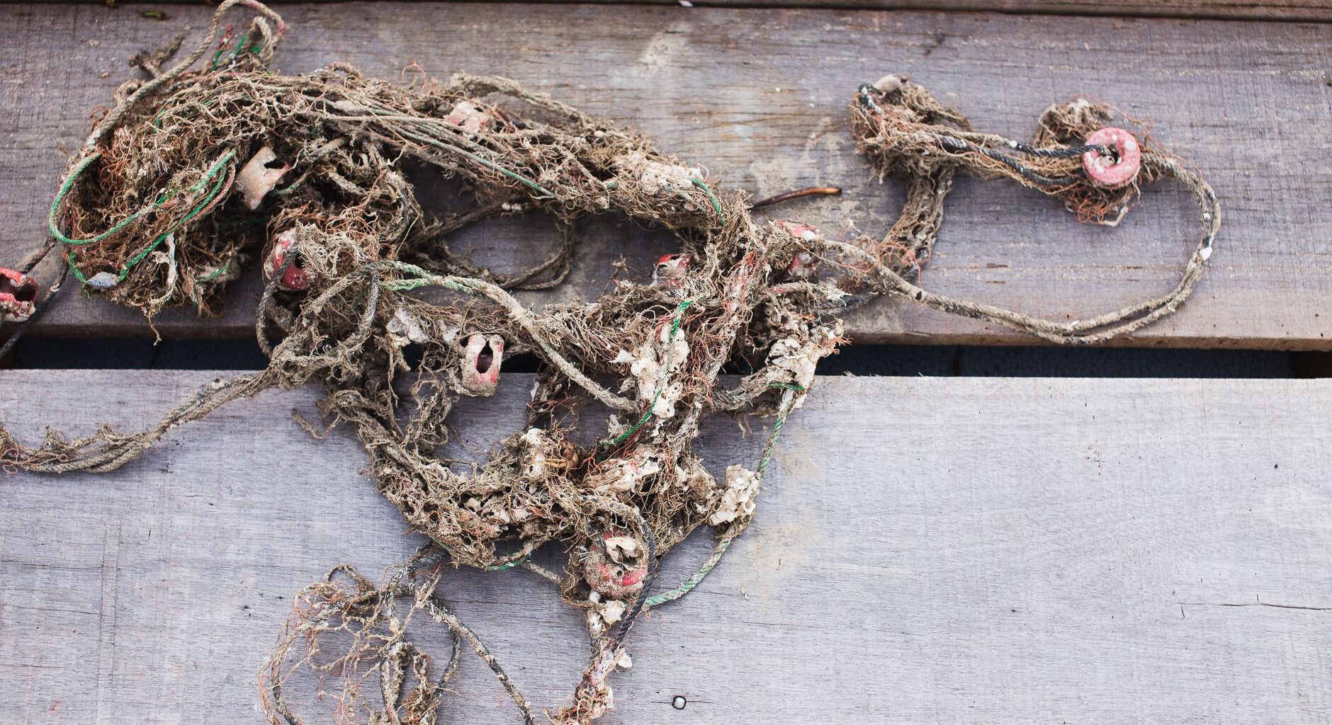 The Great Pacific Garbage Patch is not an island of trash: its plastic averages roughly 50 kilograms spread across each square kilometer, and a 2022 study found 75 to 86 percent of the large floating debris by mass came from fishing gear, not household waste