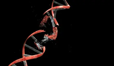 Cancer may be breaking its own DNA to keep growing