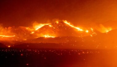 The world is on fire: True scale of devastating wildfires wreaking havoc across the globe