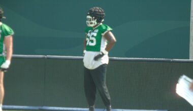 Riders’ Daniel Johnson shows off athleticism with catch vs. Lions