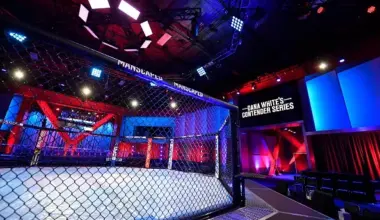 UFC 330