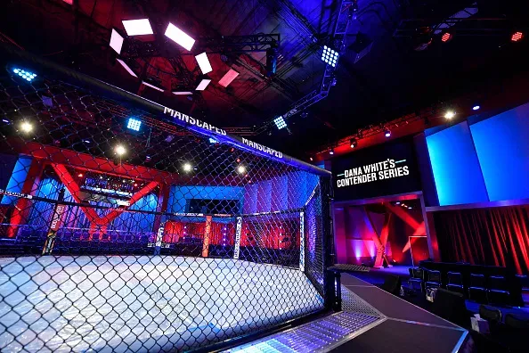 UFC 330