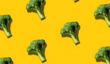 What Happened to My Body When I Ate Broccoli Every Day