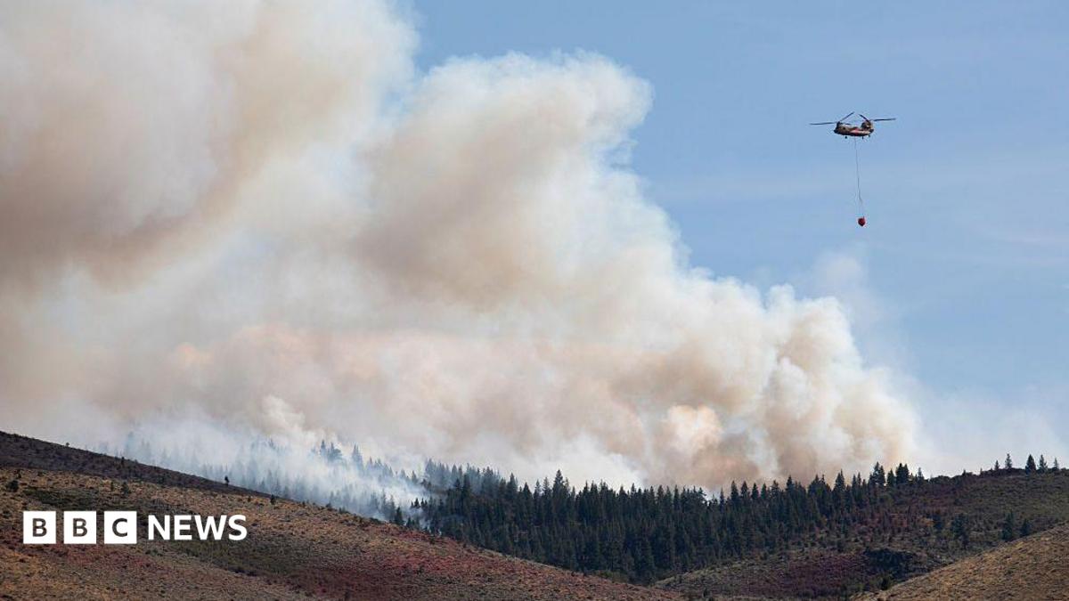 Reno wildfire: Nevada blaze expected to burn for 48 hours and may spread further - live updates