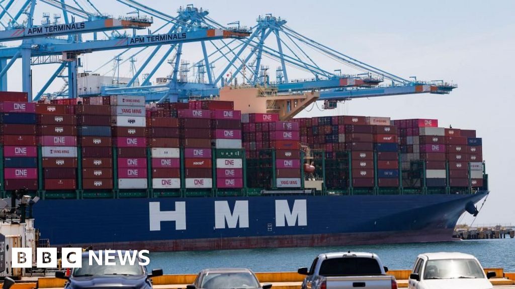 US states sue to block Trump tariffs impacting dozens of countries - BBC