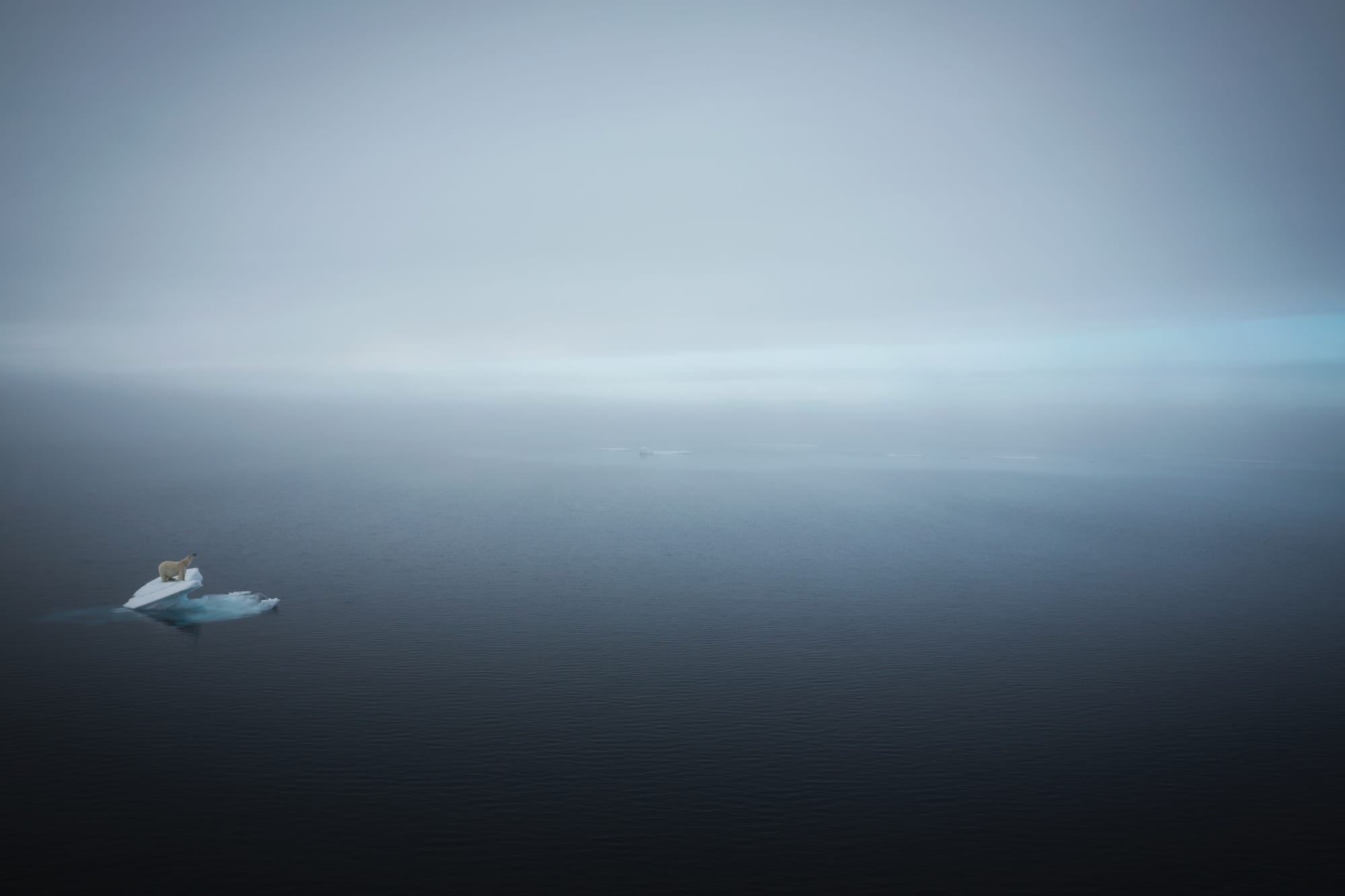 an aerial photograph of a polar bear on a lone piece of ice floating at the edge of a very wide sea