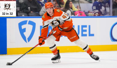 Anaheim Ducks fantasy projections for 2026-27
