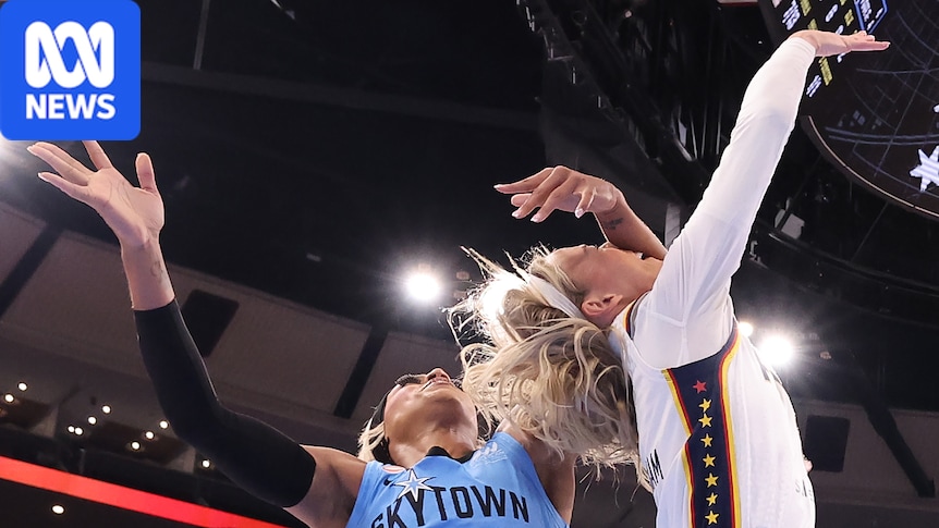 WNBA player DiJonai Carrington posts 'white privilege' after being ejected for foul on Sophie Cunningham