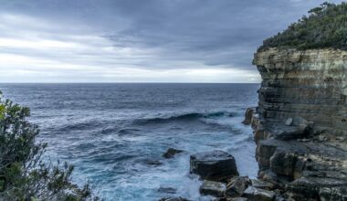 Fossilized plants offer a new route to analyze Earth’s past atmosphere