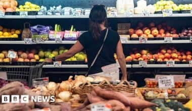 US inflation eases as food and fuel costs cool - BBC