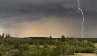 22 lightning-caused fires started in 1 day, BC Wildfire says