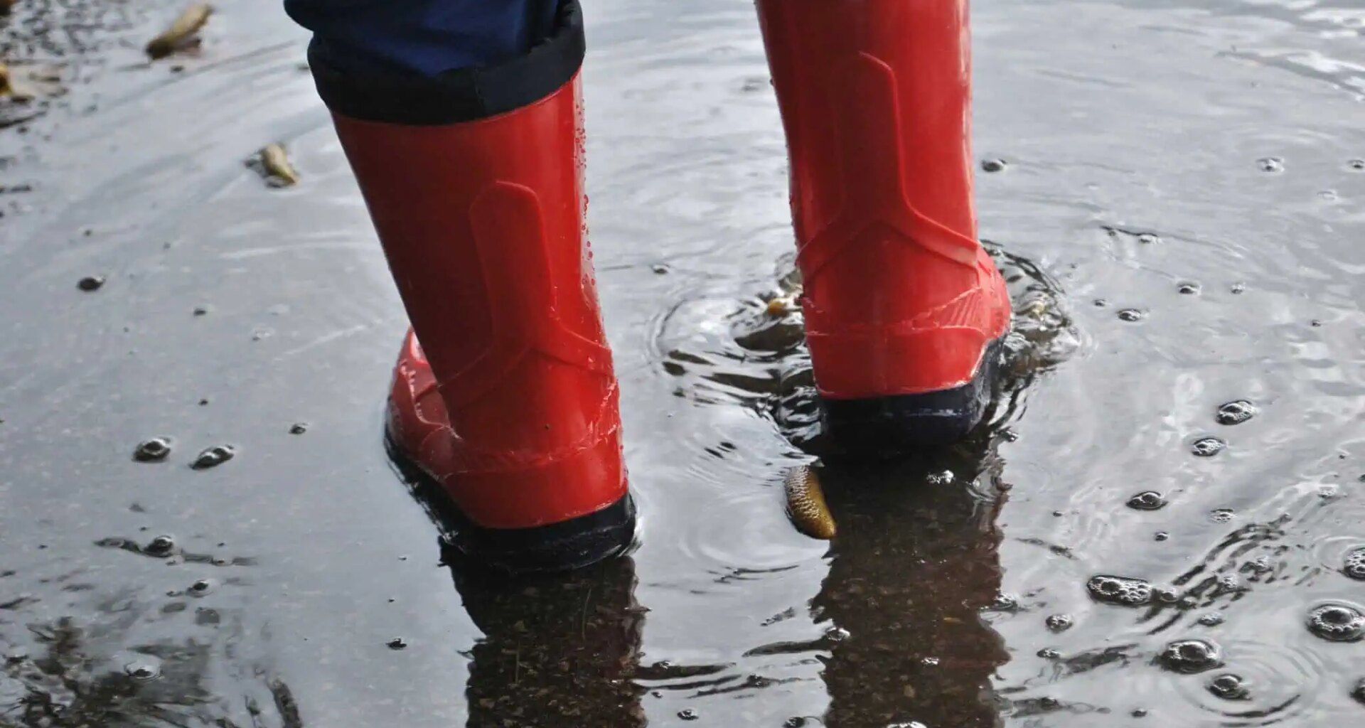 flooding mississauga brampton