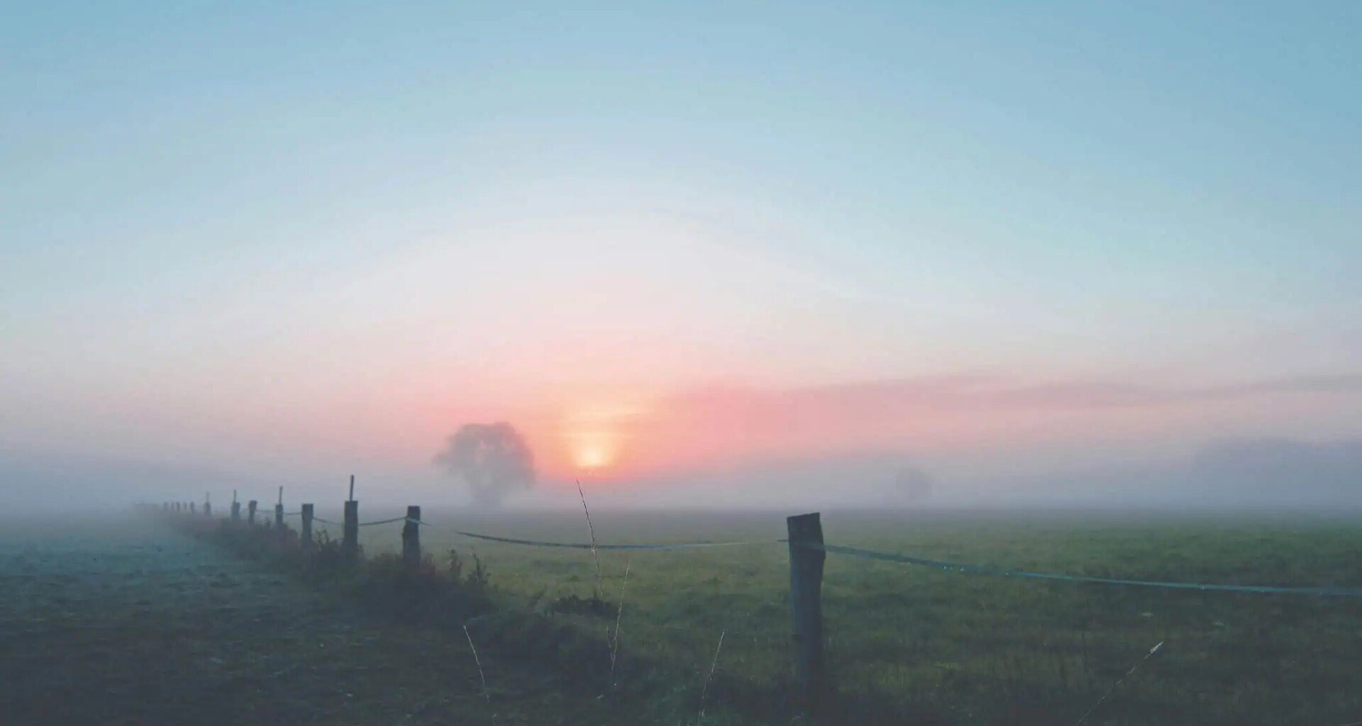 Aug. 21 weather: Fog patches possible in southern Ontario