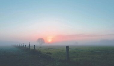 Aug. 21 weather: Fog patches possible in southern Ontario