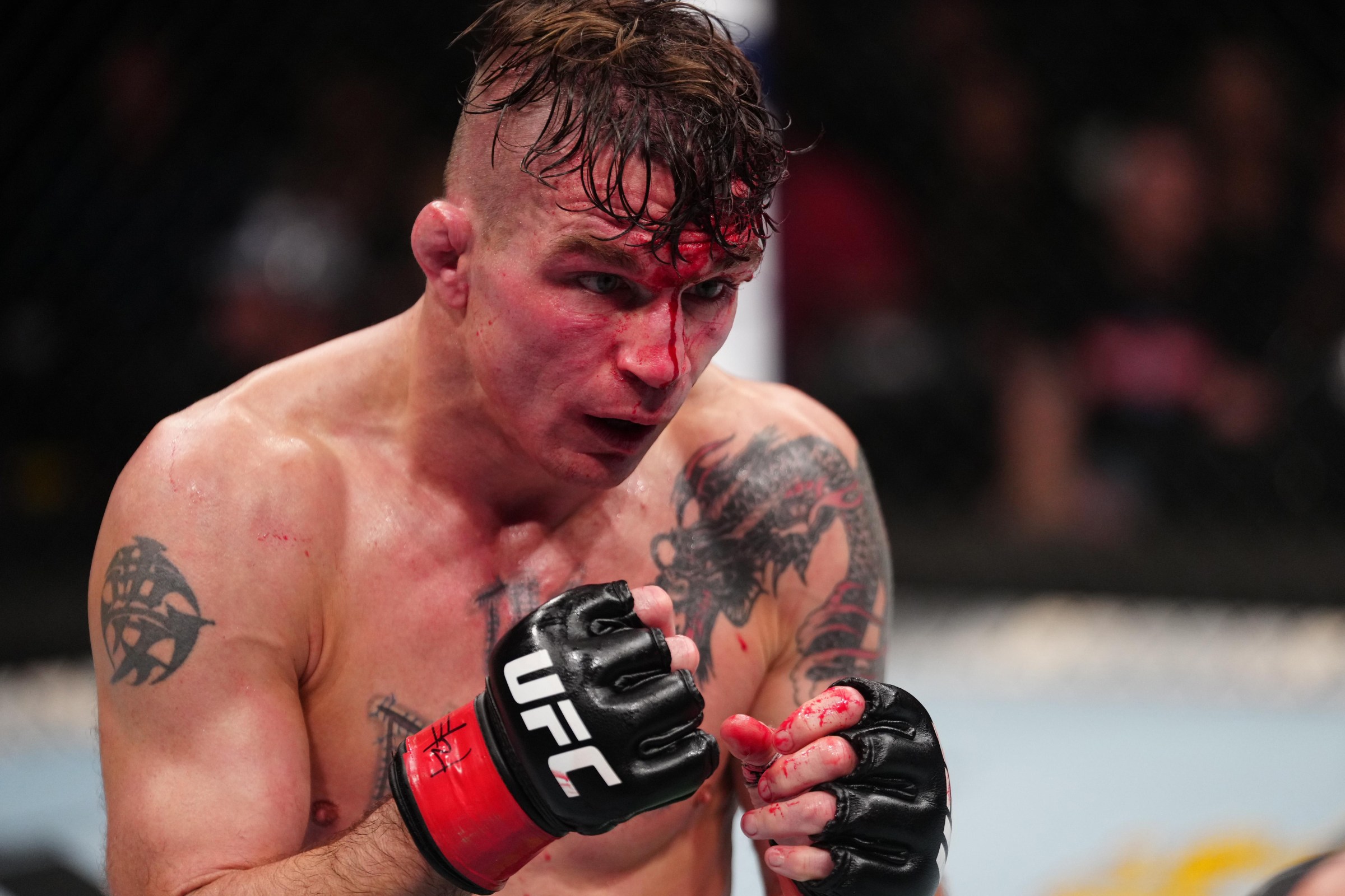 The Damage meets a youngster at UFC Vegas 120.