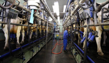 Glanbia hikes profit forecast as weight-loss drugs boost demand for protein products