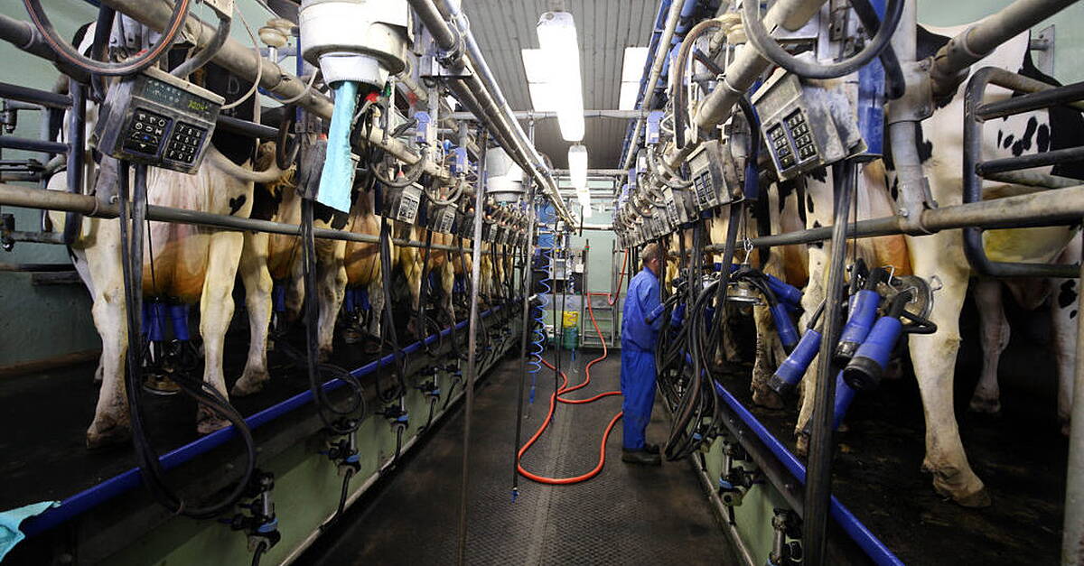 Glanbia hikes profit forecast as weight-loss drugs boost demand for protein products