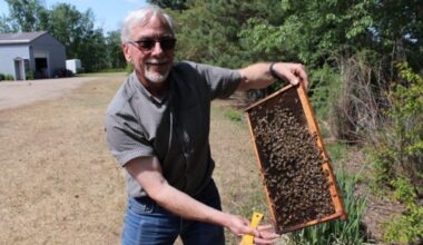 Murray Hannigan stands holding a beehive frame.