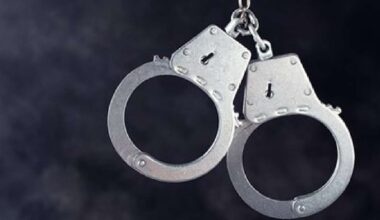 Peel Police Recover Nearly $800,000 in Stolen Vehicles and Cargo in Brampton