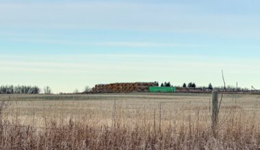 Alberta farmers start harvest as hectic year continues