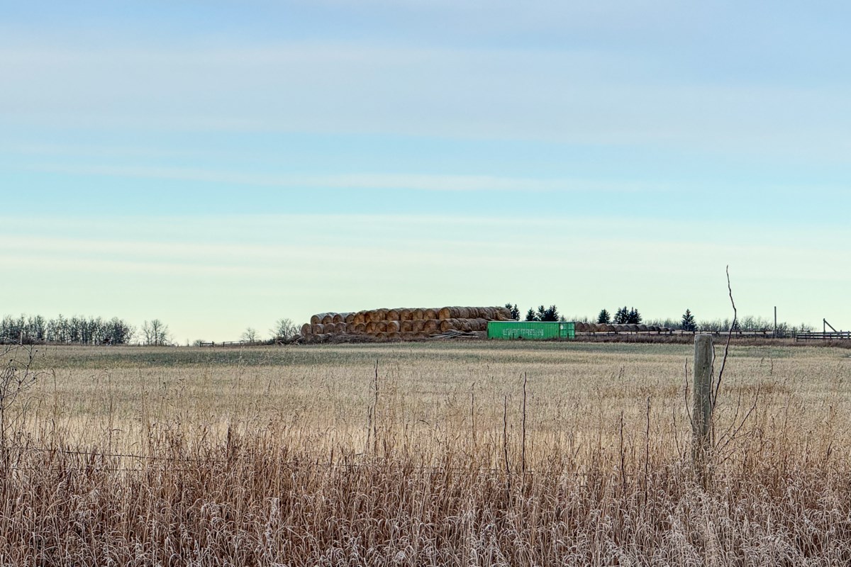 Alberta farmers start harvest as hectic year continues